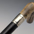 Circa 1900 British antique black shaft L-shaped antler handle walking stick 75cm